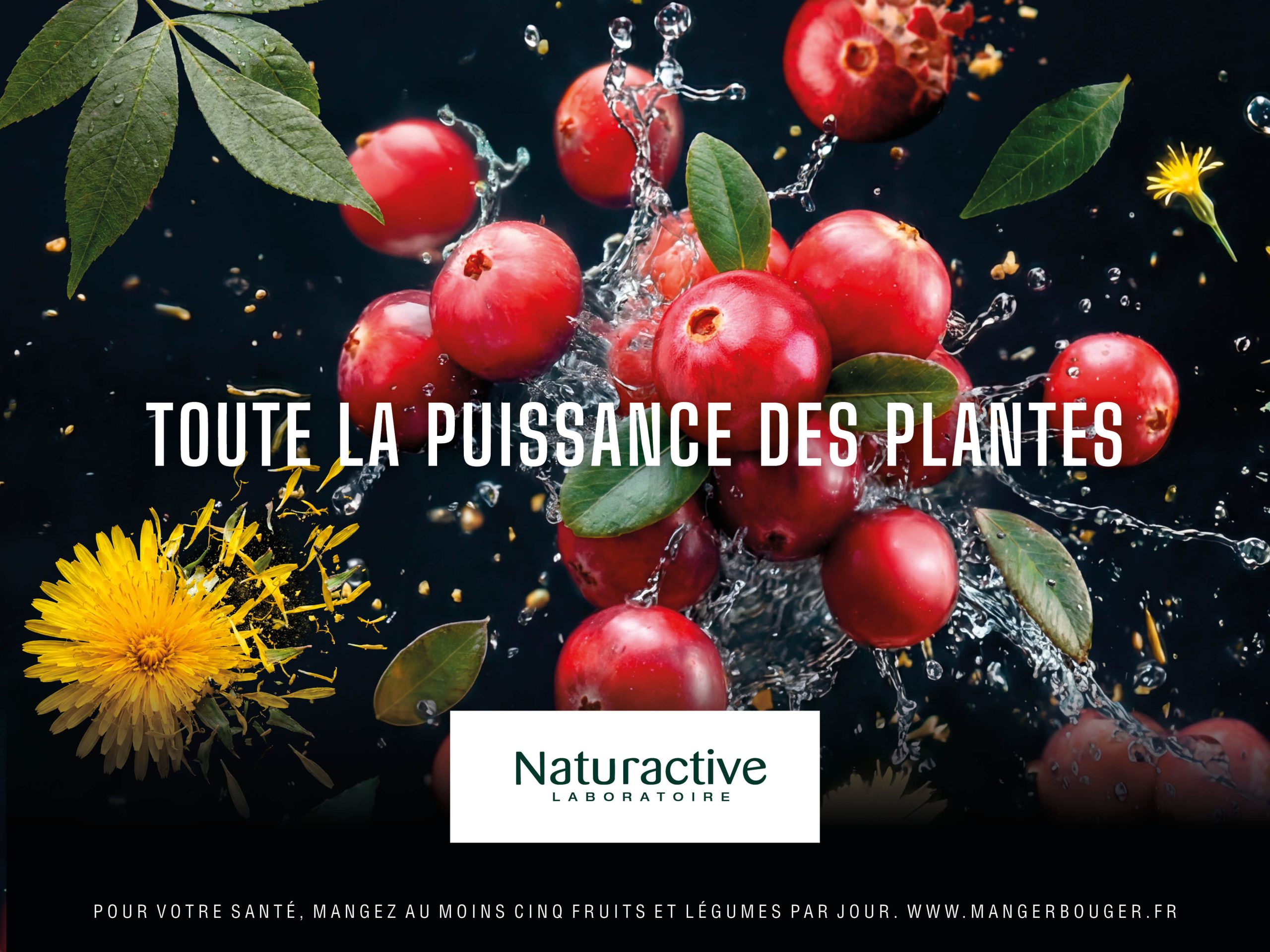 NATURACTIVE-AFFICHES-SIGNATURE-2000x1500-1_2-V23